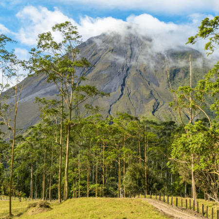 Arenal
