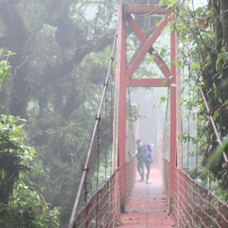 Monteverde