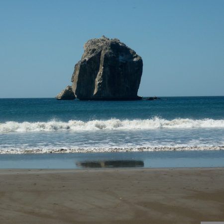 Surf (5)